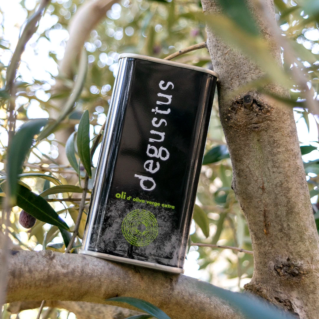 Degustus Natives Olivenöl Extra in der Dose 0,25l