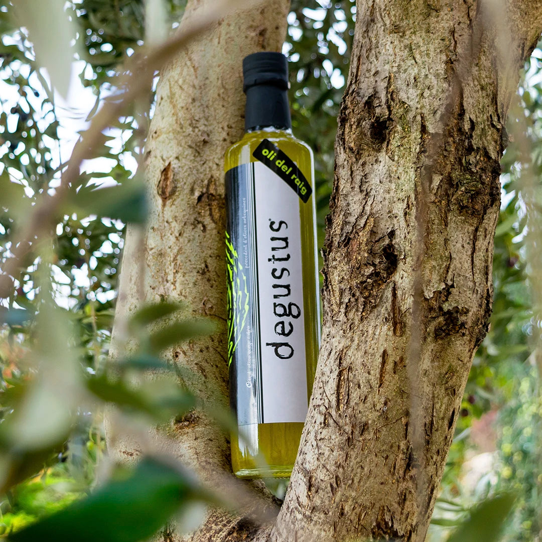 Degustus Natives Olivenöl Extra im großen Flasche zu 0,5l